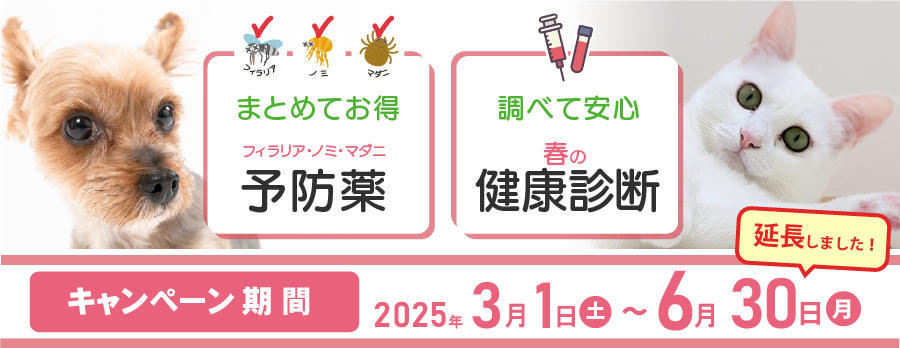 春の健康診断