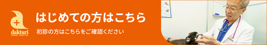 はじめての方へ