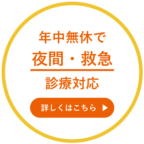 年中無休で夜間・救急診療対応