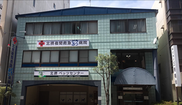 夜間診療