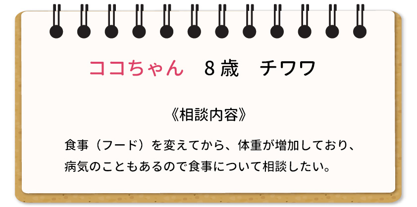 栄養相談01
