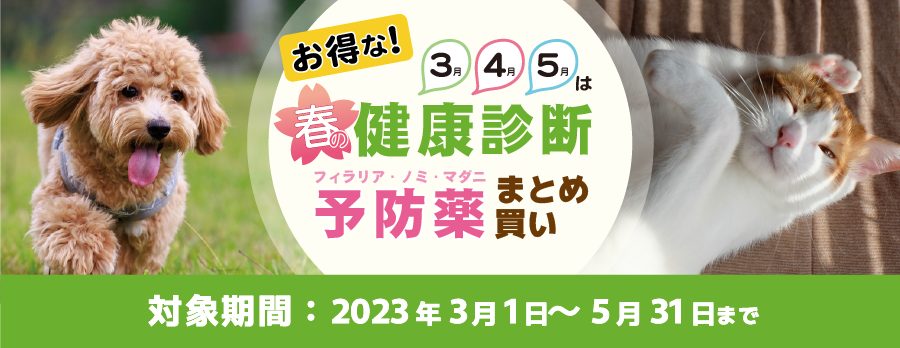 春の健康診断