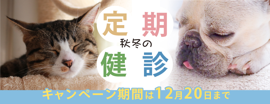 秋冬の定期検診